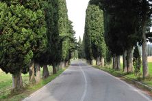 passo della futa tuscany novembre 2012 178.jpg